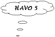 Wolkvormige toelichting: HAVO 5 
 
